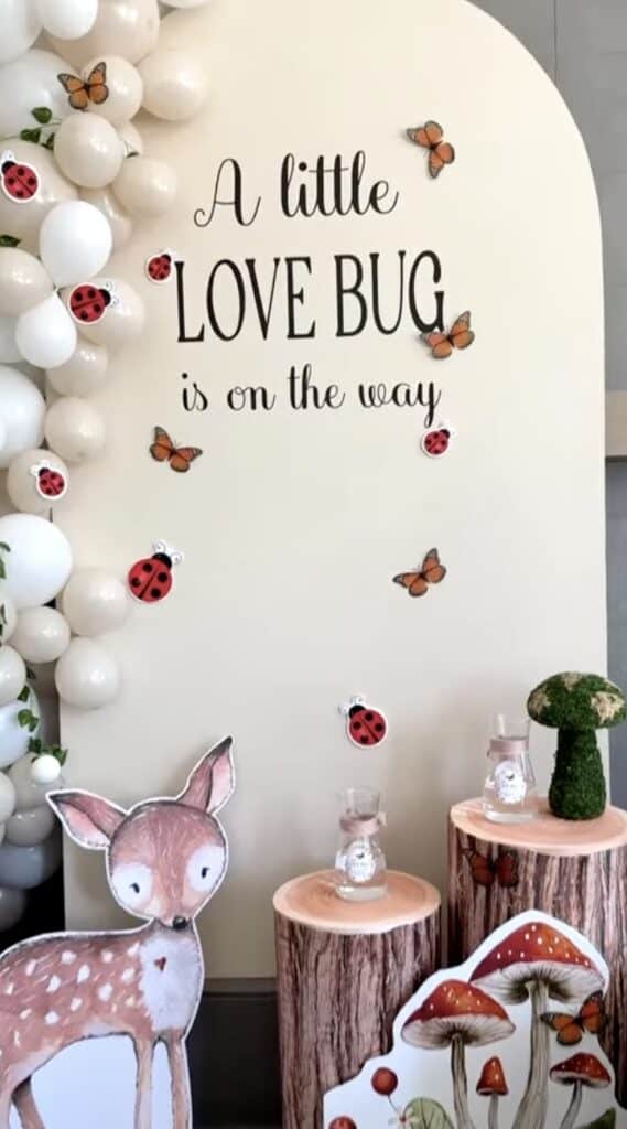 Cute woodland-themed baby shower decoration with ladybugs and butterflies.